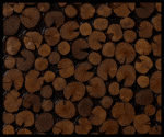 Natural wood wall W0003