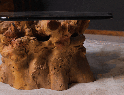 Root Coffee Table CT0013