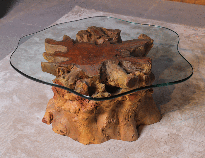 Root Coffee Table CT0013