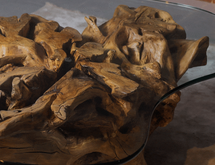 Root Coffee Table CT0015