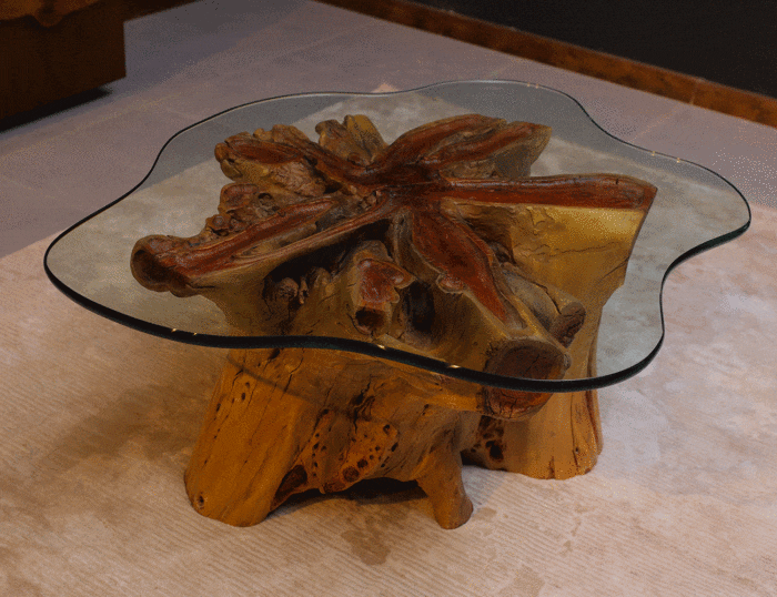 Root Coffee Table CT0017