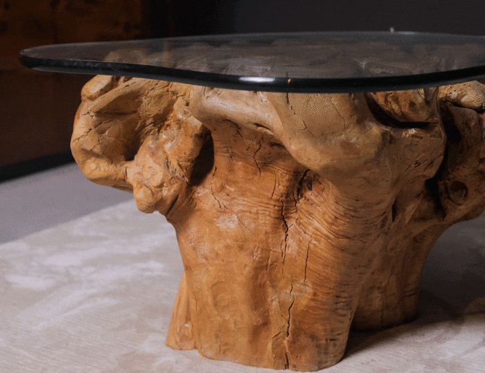 Root Coffee Table CT0020